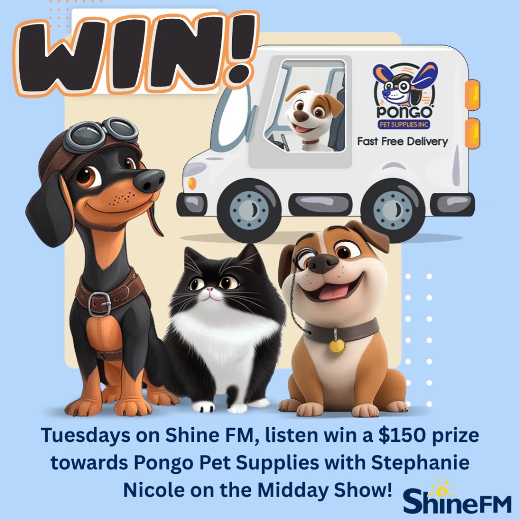 Win $150 Gift Card with Pongo Pet Supplies Graphic